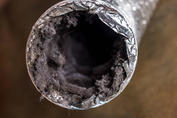 Best Local Air Duct Cleaning Services  in Pine Ridge, SD
