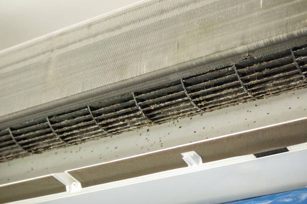 Best Affordable Air Duct Cleaning  in Pine Ridge, SD