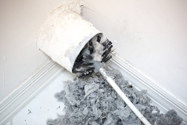 Best Air Duct Sanitizing Services  in Pine Ridge, SD